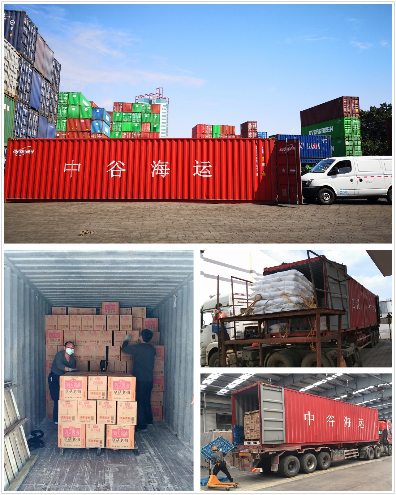 欢迎来到中谷海运集团官方网站
